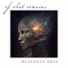 Heavenly Soul mp3 Single by Of What Remains