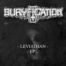 Leviathan mp3 Album by Buryfication