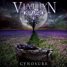 Cynosure mp3 Album by Viathyn