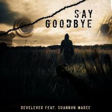 Say Goodbye mp3 Single by ReveLever, Shannon Maree