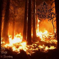 My World is Burning mp3 Album by The Mystic Forest