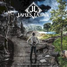 Beautiful Shade of Grey mp3 Album by James LaBrie