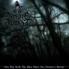 Was This Really the Place Where You Wanted to Belong? mp3 Single by The Mystic Forest