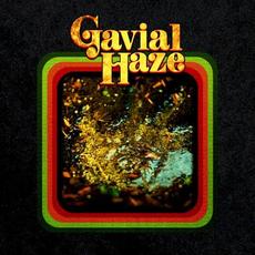 Gavial Haze mp3 Album by Gavial Haze