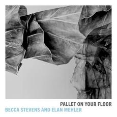 Pallet On Your Floor mp3 Album by Becca Stevens