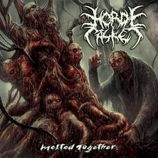 Melted Together mp3 Album by Horde Casket