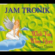 Wish You Were Here (The Dance Version) mp3 Single by Jam Tronik