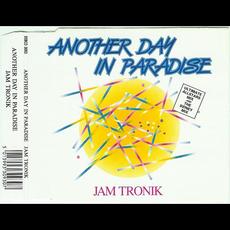 Another Day In Paradise mp3 Single by Jam Tronik