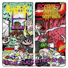 Fecal Fuck Stick Split mp3 Compilation by Various Artists