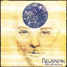 What We Wanted mp3 Single by Newspeak