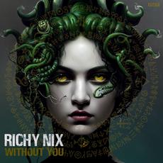 Without You mp3 Single by Richy Nix