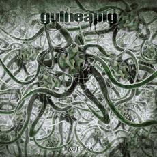 Bacteria mp3 Album by Guineapig