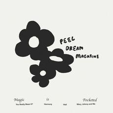 Magic is Pocketed mp3 Album by Peel Dream Magazine