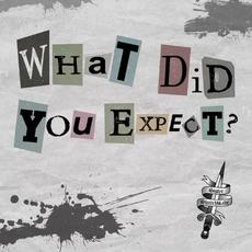 What Did You Expect? mp3 Single by Sister Switchblade