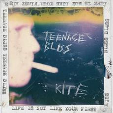 Teenage Bliss / Bowie '95 mp3 Single by Kite