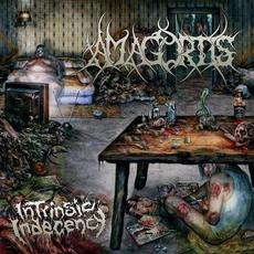 Intrinsic Indecency mp3 Album by Amagortis