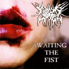 Awaiting The Fist mp3 Album by Begging For Incest