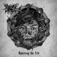 Awaiting The Fist (Re-Issue) mp3 Album by Begging For Incest