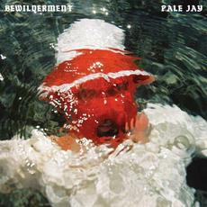 Bewilderment mp3 Album by Pale Jay