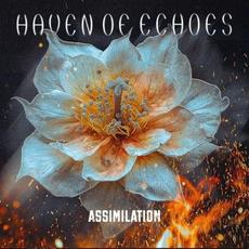 Assimilation mp3 Single by Haven Of Echoes