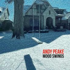 Mood Swings mp3 Album by Andy Peake