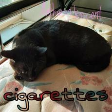 Cigarettes mp3 Single by Anthony Vincent