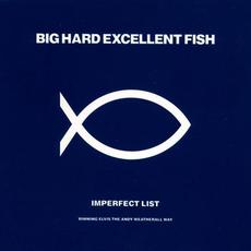 Imperfect List (Rimming Elvis The Andy Weatherall Way) mp3 Album by Big Hard Excellent Fish