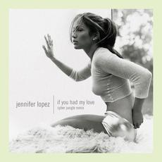 If You Had My Love (Cyber Jungle Remix) mp3 Remix by Jennifer Lopez