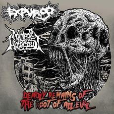 Deadly Remains Of The Root Of All Evil mp3 Album by Nuclear Holocaust