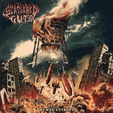 Human Entropy mp3 Album by Scattered Guts