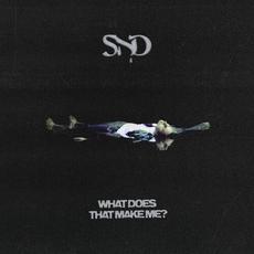 What Does That Make Me? mp3 Single by Sad Night Dynamite