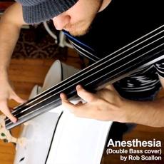 Anesthesia (Double Bass cover) mp3 Single by Rob Scallon