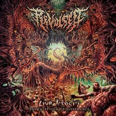 Live Atrocity - The Inception Of Sufferance mp3 Live by Revulsed