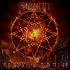 Martin Templum Domini mp3 Album by Martin Templum Domini