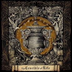 The Crucible Of Life mp3 Album by The Home Team