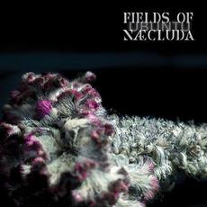 Ubuntu mp3 Album by Fields of Næcluda