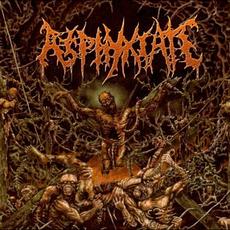 Anatomy of Perfect Bestiality mp3 Album by Asphyxiate