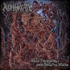 Self Transform from Decayed Flesh mp3 Album by Asphyxiate