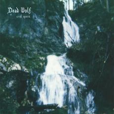 Evil Spirit mp3 Album by Dead Wolf