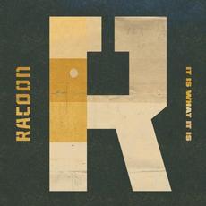 It Is What It Is mp3 Album by Racoon