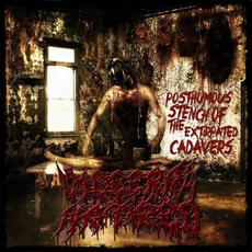 Posthumous Of The Extirpated Cadavers mp3 Album by Visceral Hatred