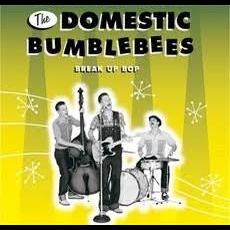 Break Up Bop mp3 Album by The Domestic Bumblebees