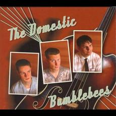 Let's Play a Little While mp3 Album by The Domestic Bumblebees