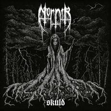 Skuld mp3 Album by Nornír