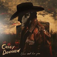 Never Not Love You mp3 Album by Casey Donahew