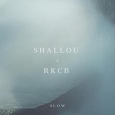 Slow mp3 Single by Shallou