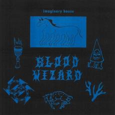 Imaginary House mp3 Album by Blood Wizard