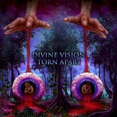 Divine Vision Torn Apart mp3 Album by Nylist