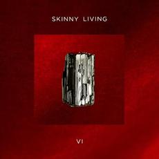 6 mp3 Album by Skinny Living