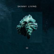 III mp3 Album by Skinny Living